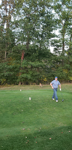 Golf Course «Moose Ridge Golf Course & Grille», reviews and photos, 11801 Doane Rd, South Lyon, MI 48178, USA