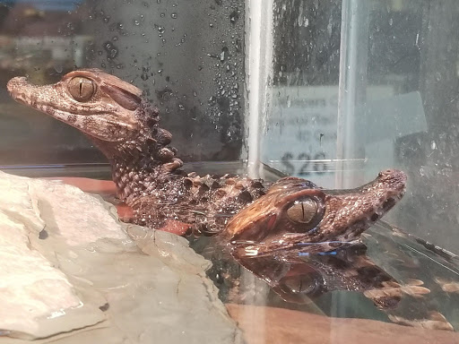 Pet Store «The Pet Zone», reviews and photos, 20 W Oak St, Pittston, PA 18640, USA