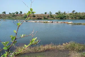 Wardha River image