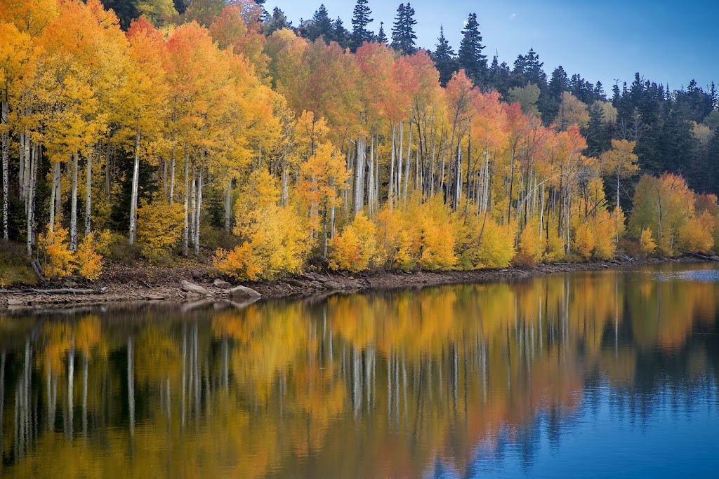 Aspen Roots Hair Studio 80433