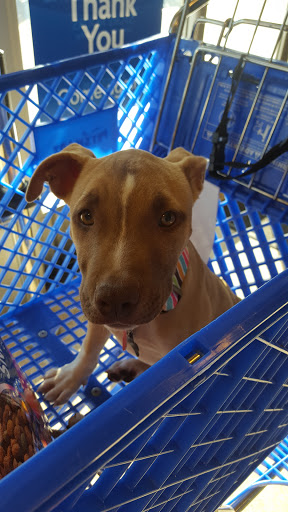 Pet Supply Store «PetSmart», reviews and photos, 1050 McKinley Pl Dr #30, San Marcos, TX 78666, USA