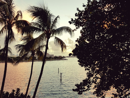 Hotel «Grove Isle Hotel & Spa», reviews and photos, 4 Grove Isle Dr, Miami, FL 33133, USA