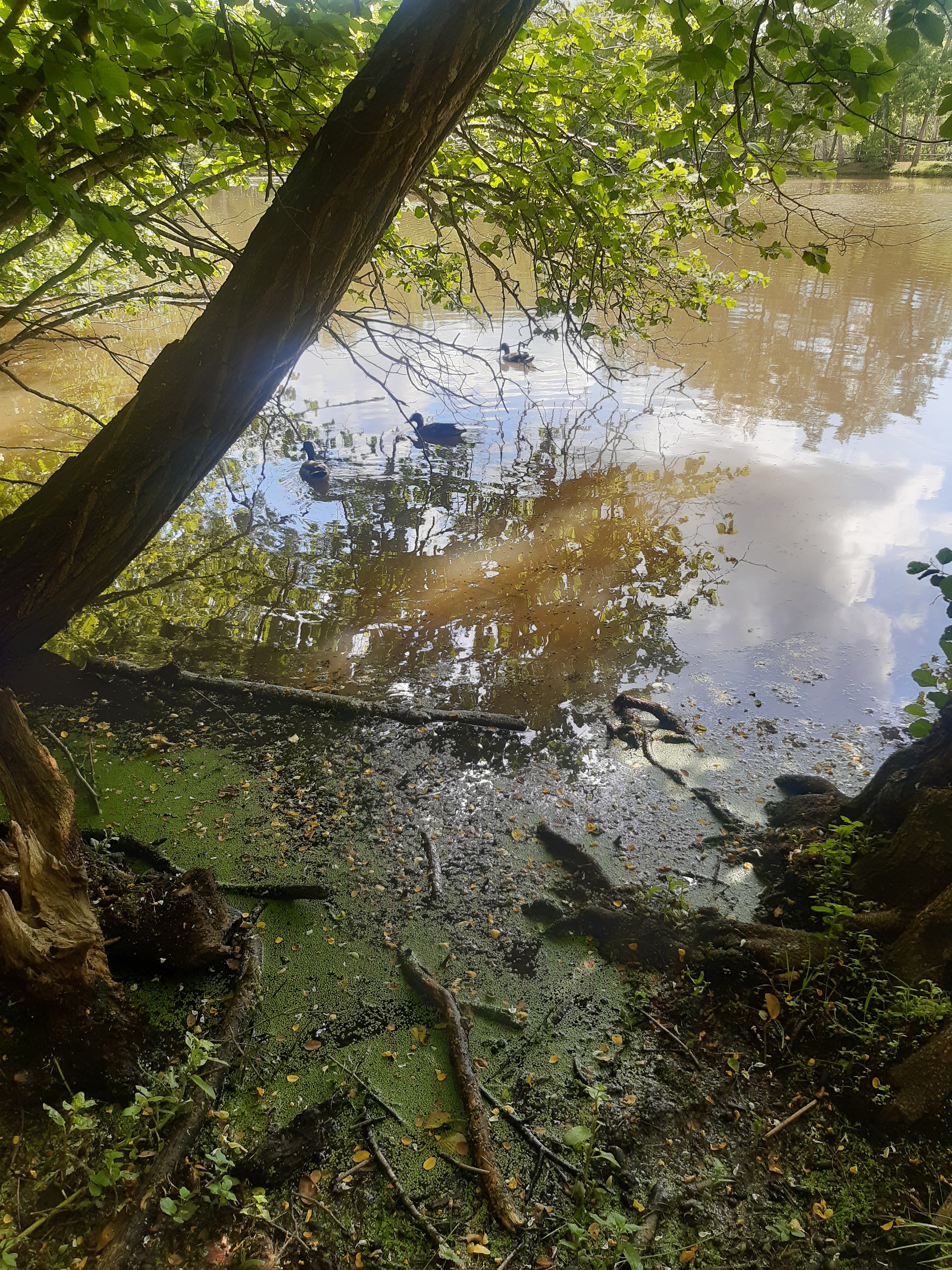 Photo n° 1 de l'avis de Mihanta.a fait le 12/06/2021 à 14:46