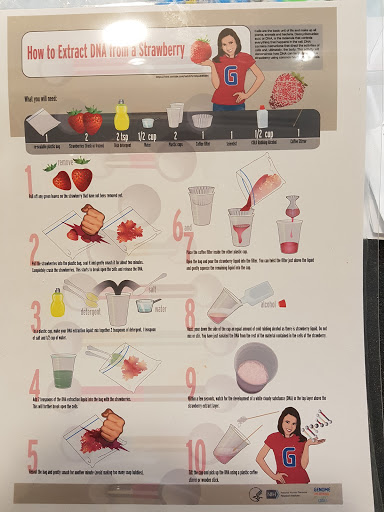 Science Museum «Marian Koshland Science Museum», reviews and photos, 525 E St NW, Washington, DC 20001, USA