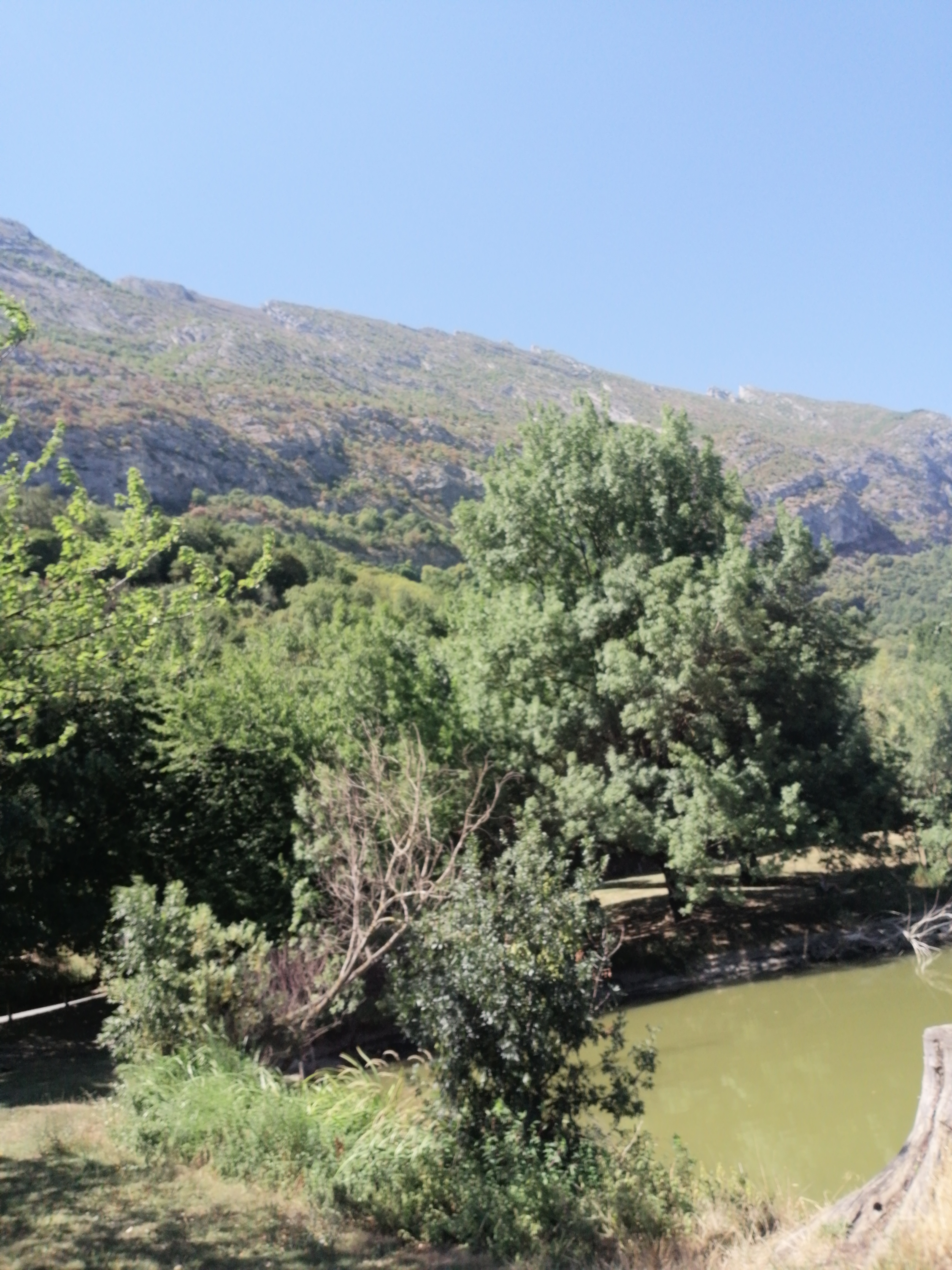 Photo n° 8 de l'avis de Djess. fait le 26/04/2019 à 17:08