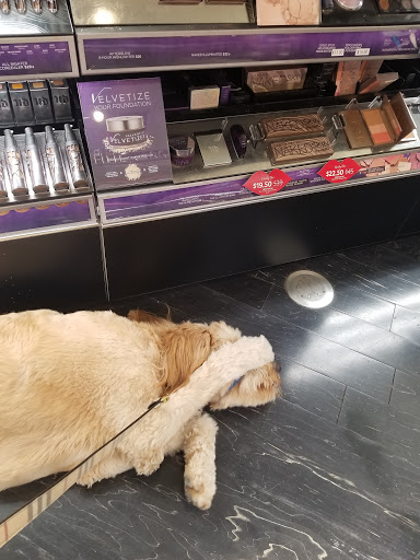 Cosmetics Store «SEPHORA», reviews and photos, 15900 La Cantera Pkwy #7720, San Antonio, TX 78256, USA