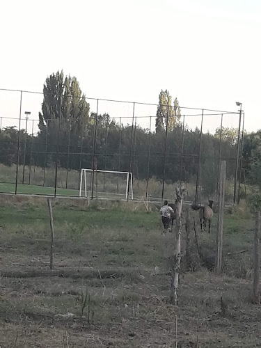 Opiniones de Gana Soccer en Talca - Campo de fútbol