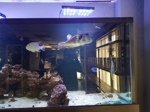 Tropical Fish Store «River City Aquatics», reviews and photos, 12108 Roxie Dr, Austin, TX 78729, USA