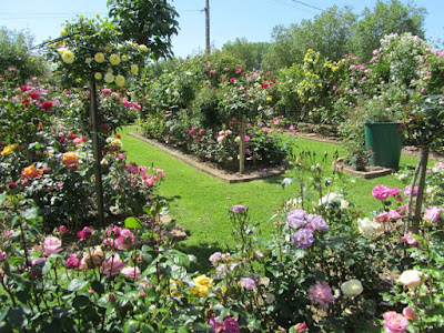 La Roseraie de Brigitte à Cormeray