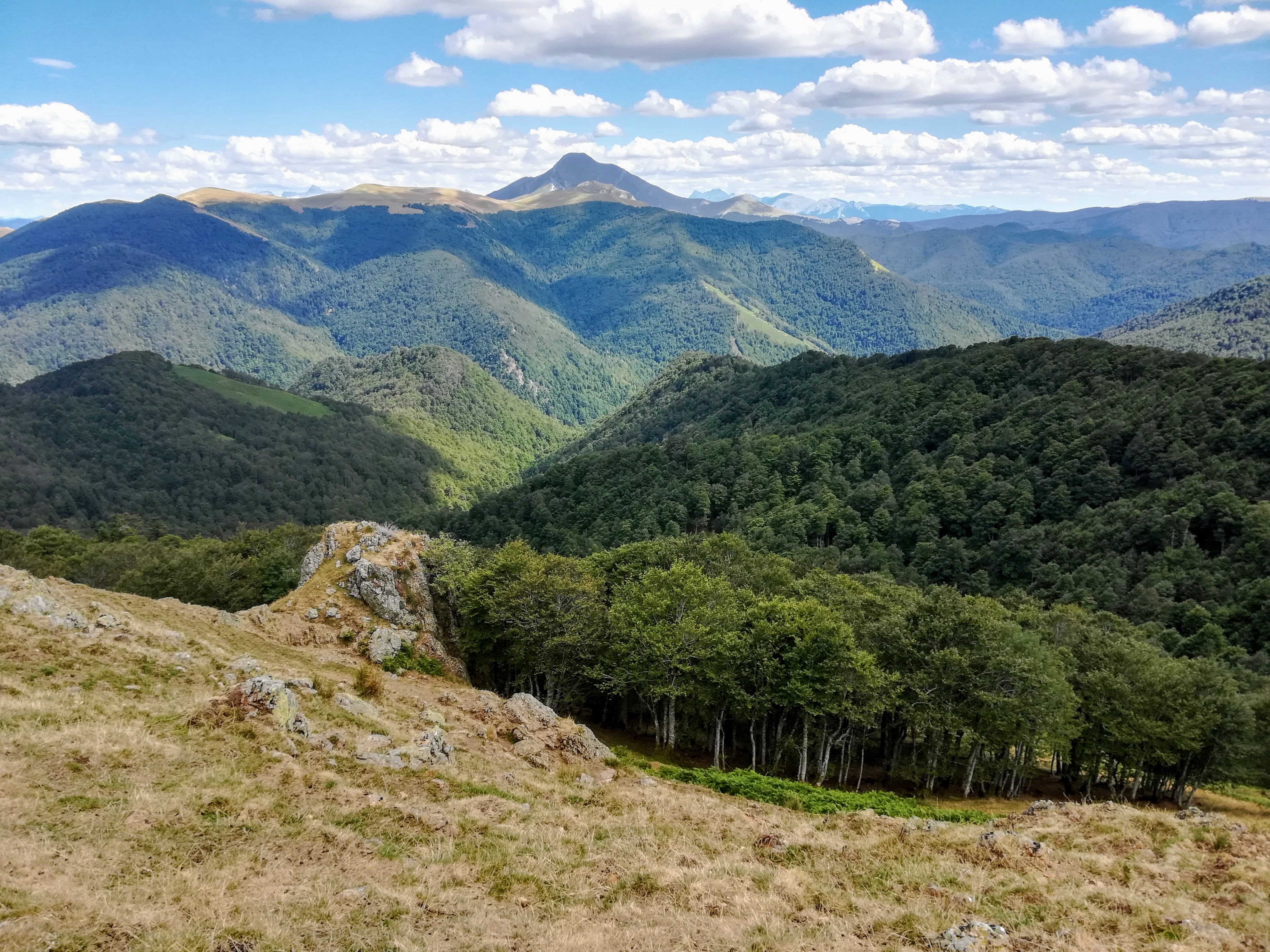 Photo n° 5 de l'avis de Anne.r fait le 06/09/2019 à 12:37