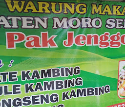 Mutton Satay 'Pak Jenggot' photo