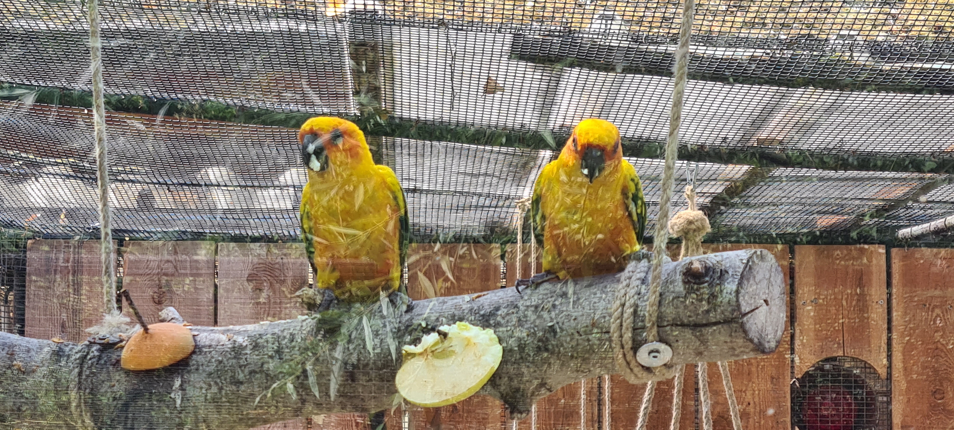 Photo n° 7 de l'avis de Chris.a fait le 16/08/2022 à 09:28