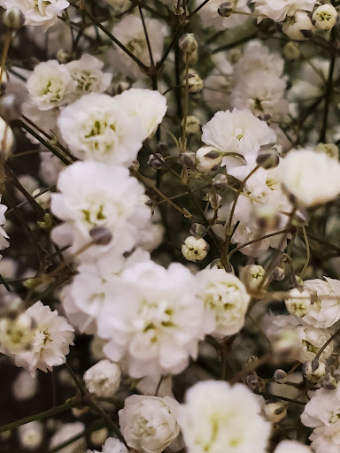 Grocery Store «Safeway», reviews and photos, 500 Cleveland Ave SE, Tumwater, WA 98501, USA