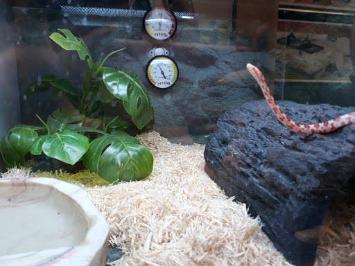 Pet Supply Store «Petco Animal Supplies», reviews and photos, 450 N Rte 17, Paramus, NJ 07652, USA