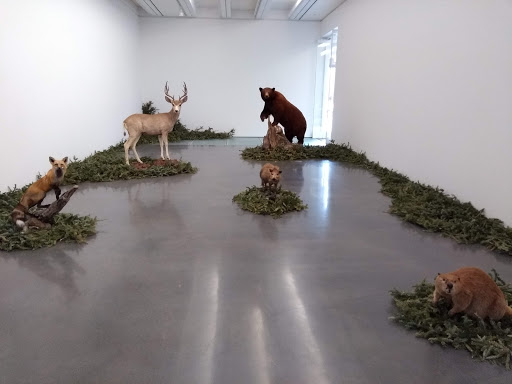 Art Museum «Aspen Art Museum», reviews and photos, 637 E Hyman Ave, Aspen, CO 81611, USA