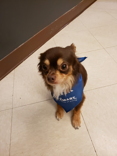 Pet Supply Store «PetSmart», reviews and photos, 1460 Koester Rd, Forsyth, IL 62535, USA