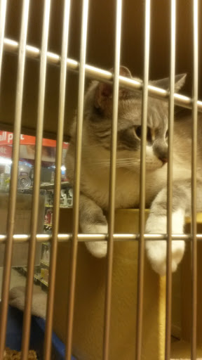 Pet Supply Store «PetSmart», reviews and photos, 400 Mill Creek Dr, Secaucus, NJ 07094, USA