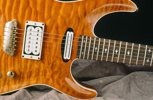 Erlewine Guitars image 3