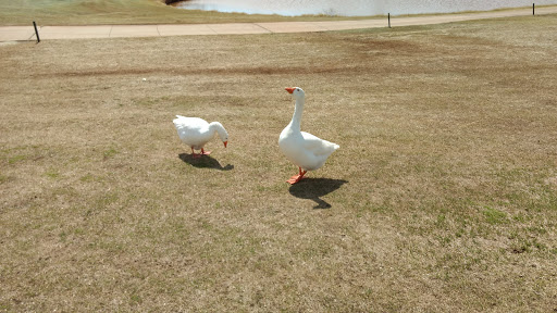 Golf Club «Lake Hefner Golf Club», reviews and photos, 4491 S Lake Hefner Dr, Oklahoma City, OK 73116, USA