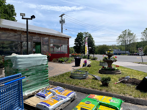 Florist «Petals & Paws», reviews and photos, 465 Albany Turnpike, Canton, CT 06019, USA