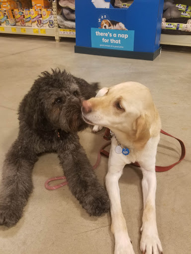 Pet Supply Store «PetSmart», reviews and photos, 1116 S Rochester Rd, Rochester Hills, MI 48307, USA