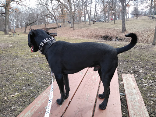 Park «Bever Park», reviews and photos, 2700 Bever Ave SE, Cedar Rapids, IA 52403, USA