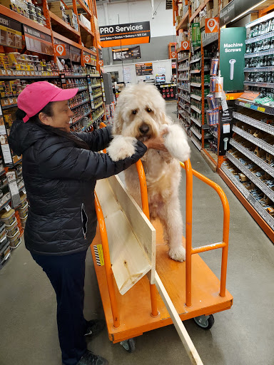 Shopping Mall «Bear Valley Shopping Center», reviews and photos, 3100 S Sheridan Blvd, Denver, CO 80227, USA