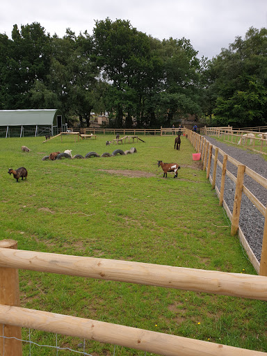 Playworks The Meadows - Farm Village Retreat