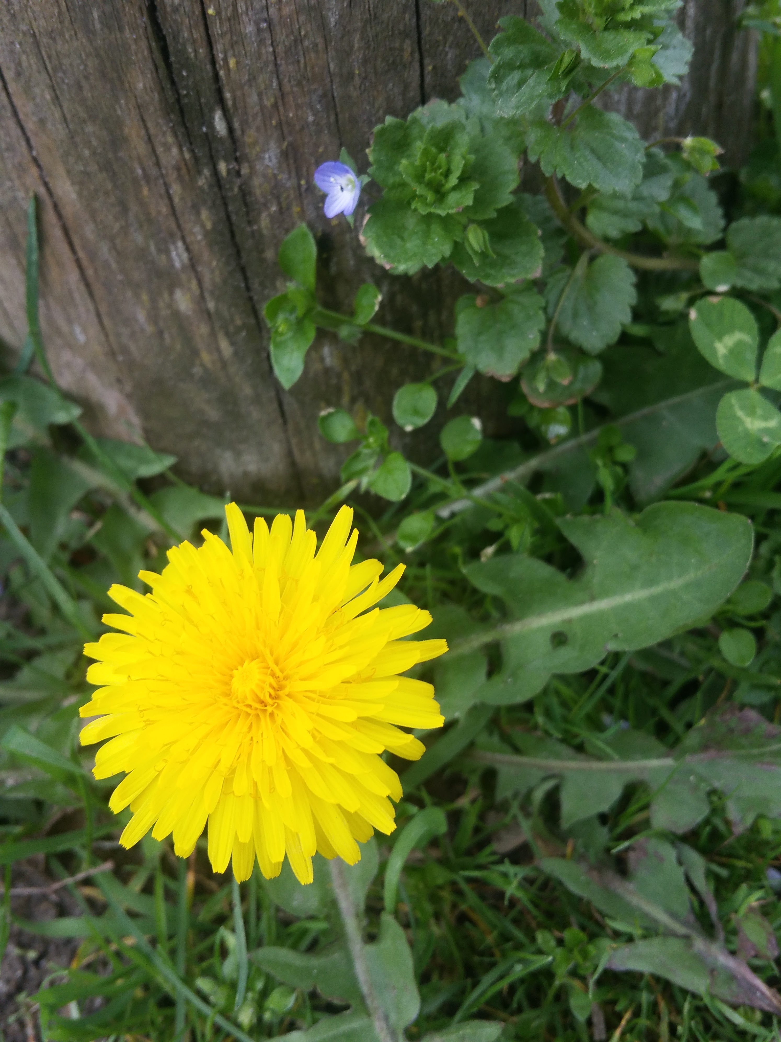 Photo n° 1 de l'avis de Fairouzette.A fait le 11/04/2018 à 16:01