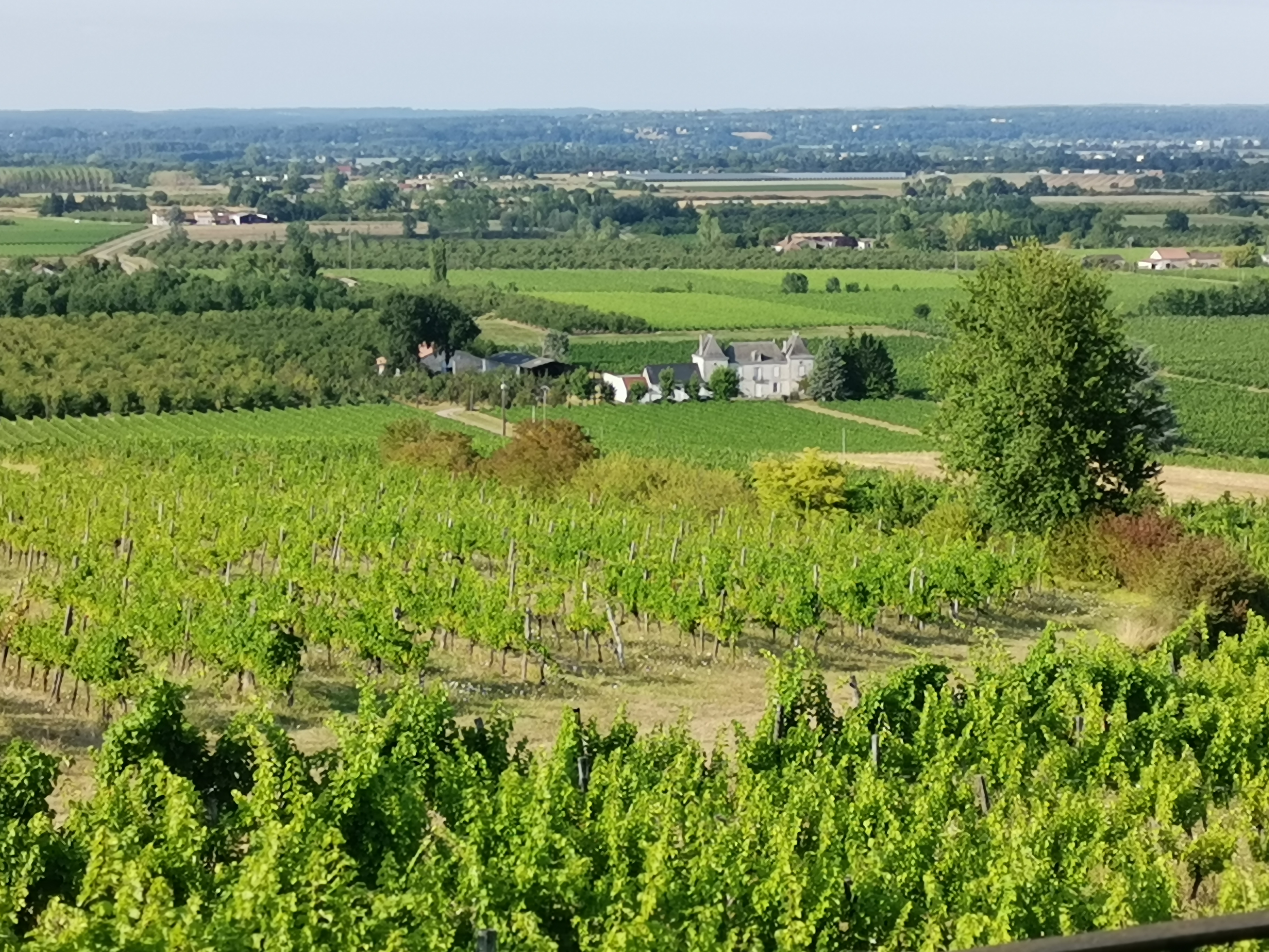Photo n° 2 de l'avis de David.i fait le 06/08/2019 à 17:30