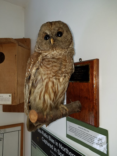 Maritime Museum «Great Lakes Shipwreck Museum», reviews and photos, 18335 N Whitefish Point Rd, Paradise, MI 49768, USA