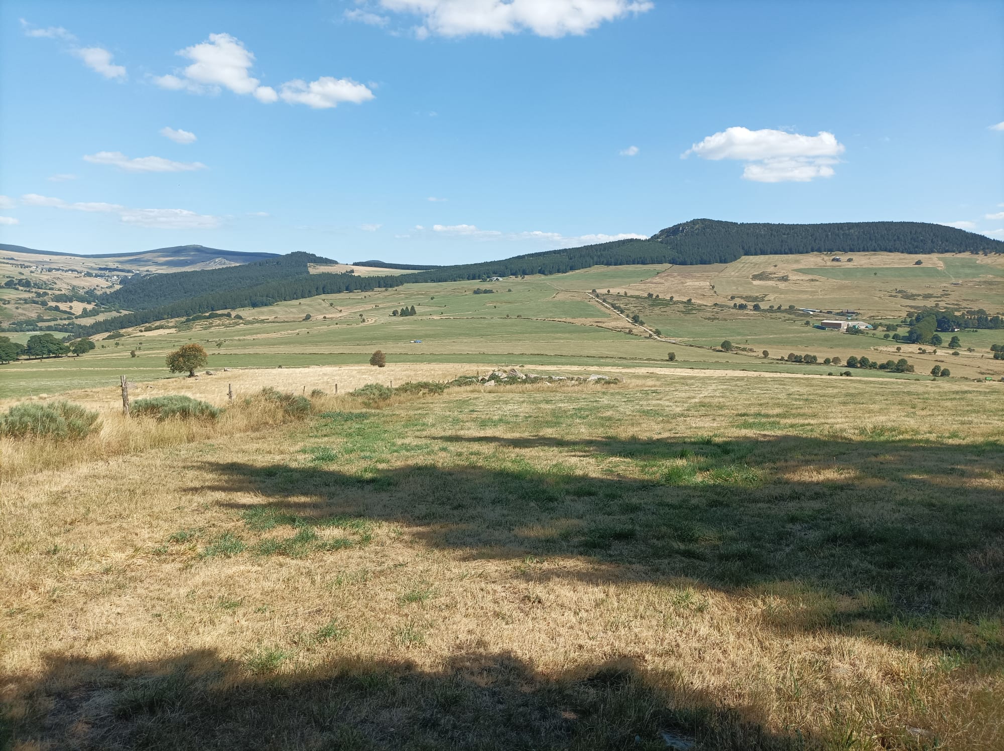 Photo n° 3 de l'avis de Cecile.u fait le 30/07/2022 à 15:42