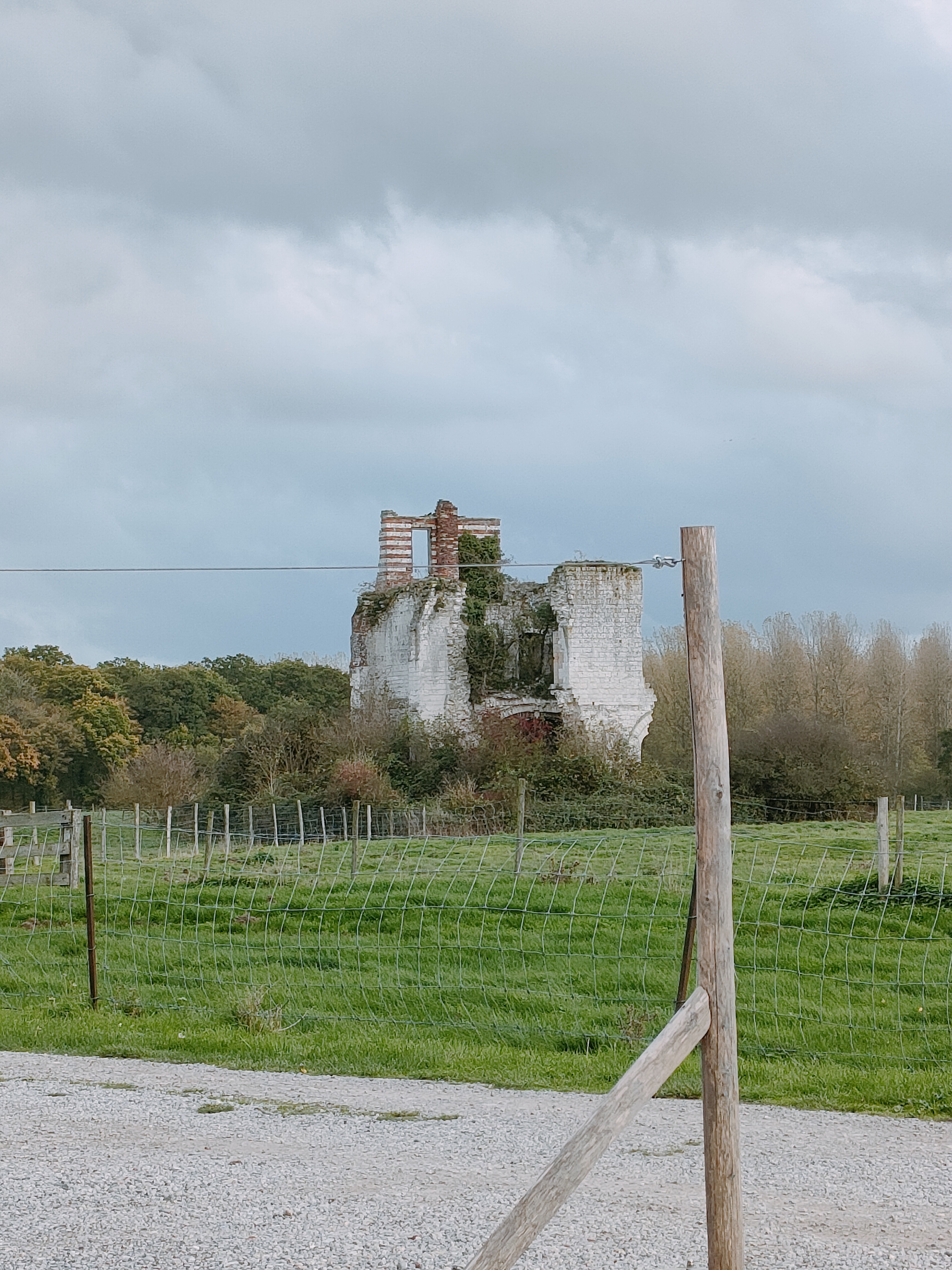Photo n° 1 de l'avis de Josselin.e fait le 28/10/2022 à 18:28