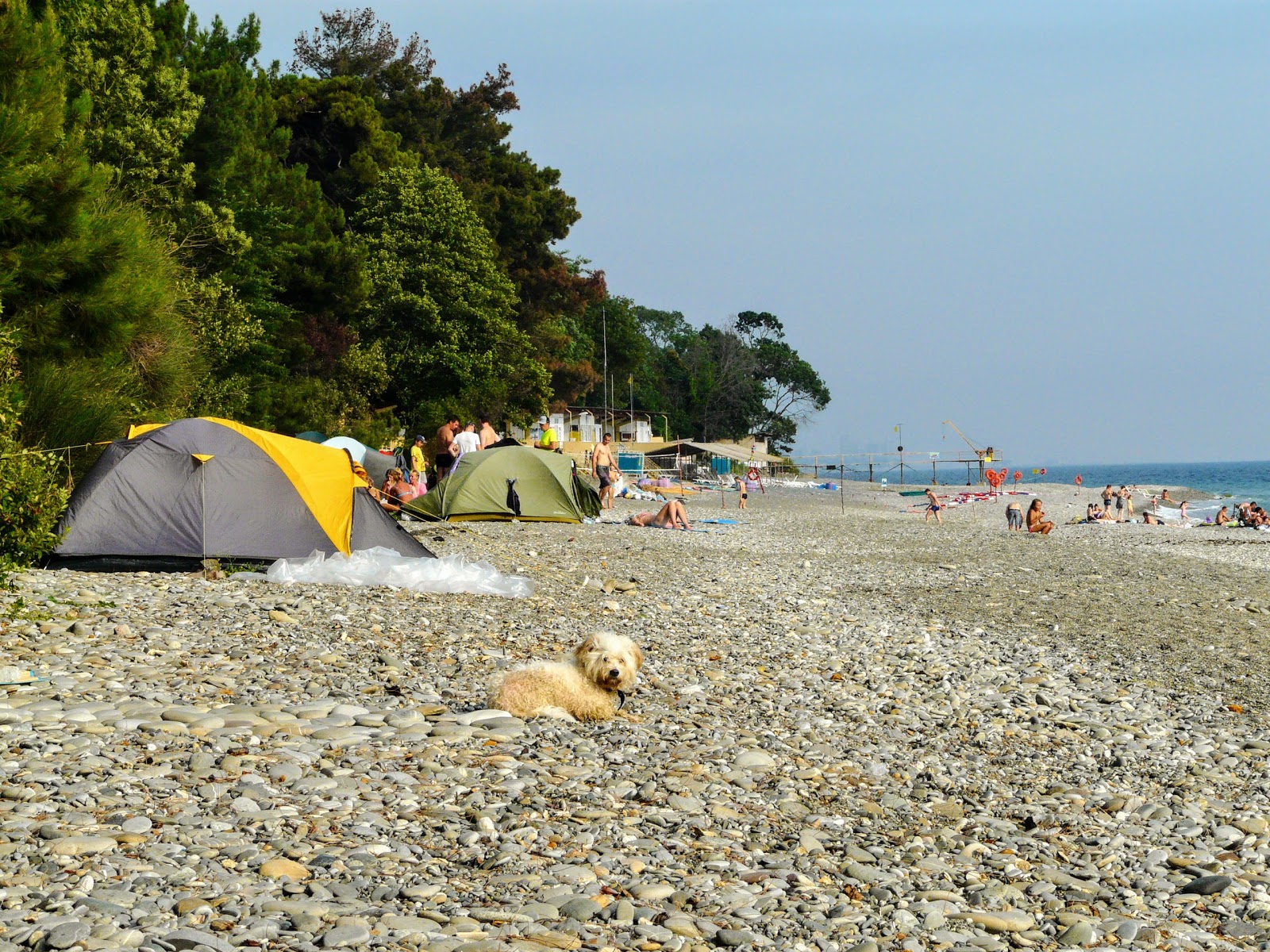 Foto de Uch-Dere beach - lugar popular entre os apreciadores de relaxamento
