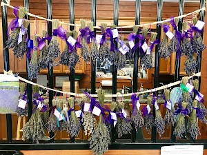 White Oak Lavender Farm & The Purple WOLF Vineyard - photo 94