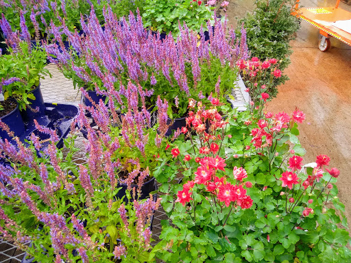 Home Improvement Store «The Home Depot», reviews and photos, 80 Buckland Hills Dr, Manchester, CT 06042, USA