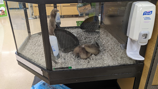 Pet Supply Store «Petco Animal Supplies», reviews and photos, 5631 Grove Blvd, Hoover, AL 35226, USA