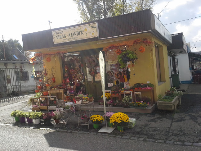 Értékelések erről a helyről: Brandt Virág Ajándék, Budapest - Virágárus