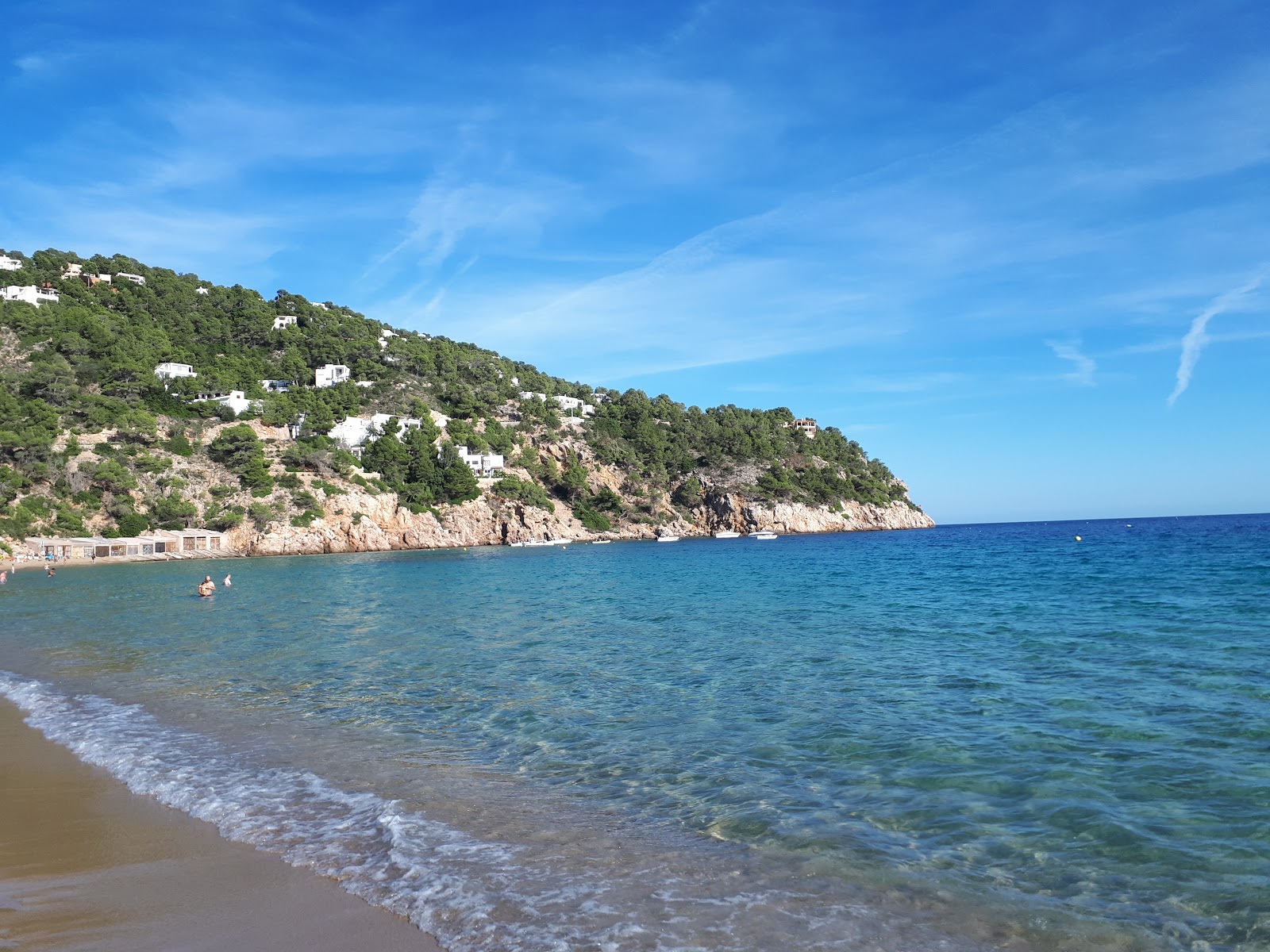 Fotografie cu Plaja Cala de Sant Vicent amplasat într-o zonă naturală