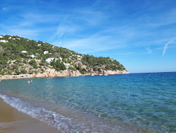 Cala de Sant Vicent Plajı'in fotoğrafı ve güzel manzarası