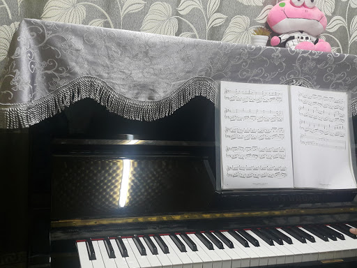TOYO PIANO VIỆT NAM – Đại lý Yamaha Music Vietnam