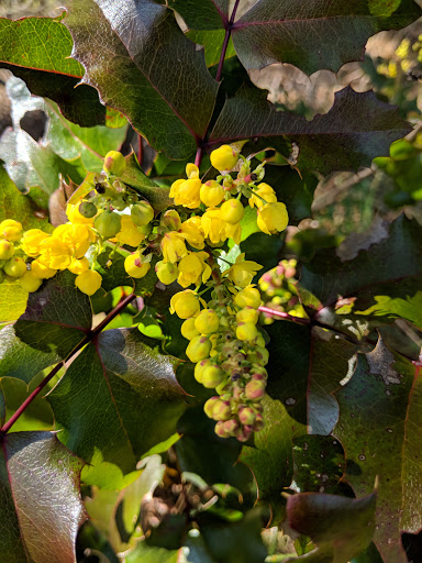 Park «Cooper Mountain Nature Park», reviews and photos, 18892 SW Kemmer Rd, Beaverton, OR 97007, USA