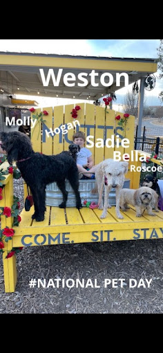 Insurance Agency «Kathleen Alexander - State Farm Insurance Agent», reviews and photos