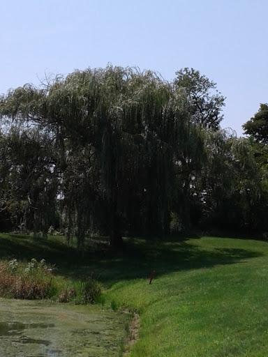 Golf Course «Turtle Creek Golf Course», reviews and photos, 303 W Ridge Pike, Limerick, PA 19468, USA