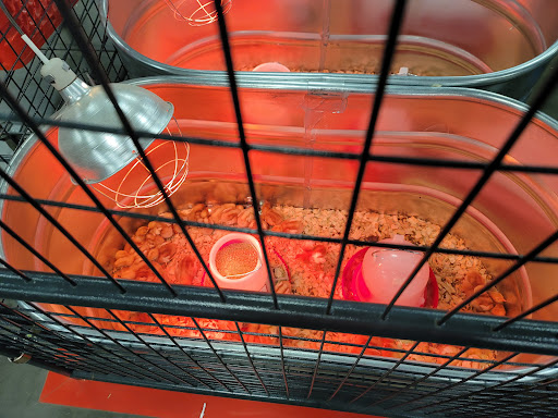 Home Improvement Store «Tractor Supply Co.», reviews and photos, 3355 Guthrie Hwy, Clarksville, TN 37040, USA