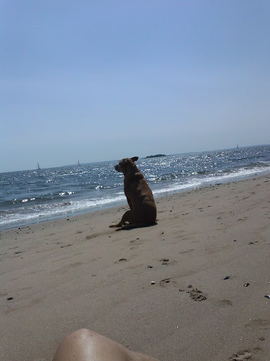 Park «Dyker Beach Park», reviews and photos, 334 Bay 8th St, Brooklyn, NY 11228, USA