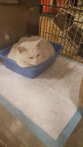 Pet Supply Store «PetSmart», reviews and photos, 4100 Ming Ave, Bakersfield, CA 93309, USA