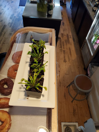 Cafe «Brewed Cafe & Pub», reviews and photos, 603 Main St, Vancouver, WA 98660, USA