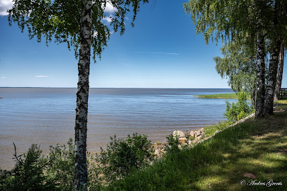 Võrtsjärve muuseumi kohvik