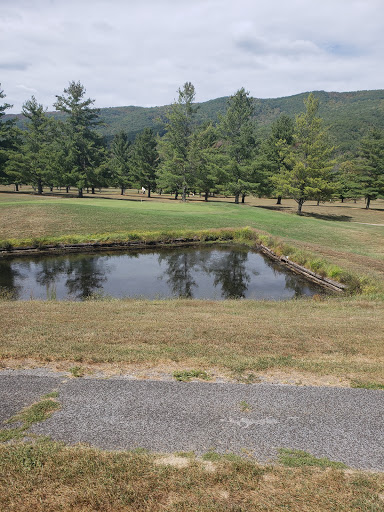 Golf Course «Wolf Creek Golf & Country Club», reviews and photos, 6828 Grapefield Rd, Bastian, VA 24314, USA